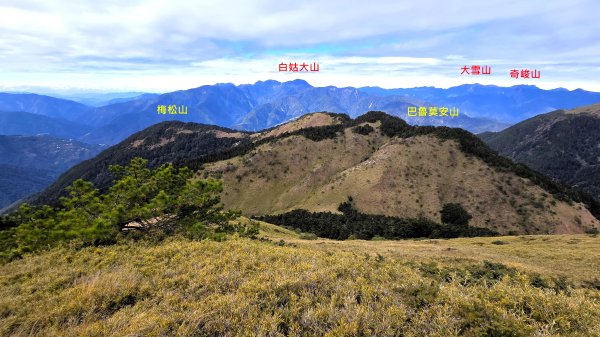貼近山林來走個稍微不一樣風景的合歡山2989392
