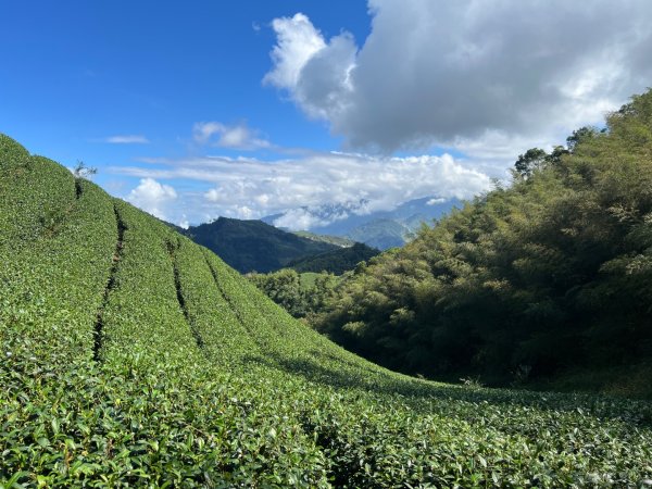 孝子路步道太平之旅2641719