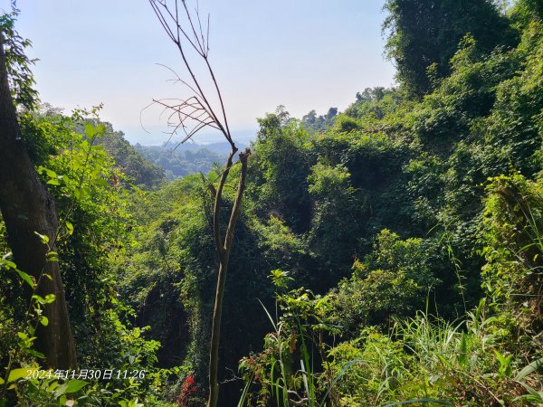 松柏坑山小百岳2729128