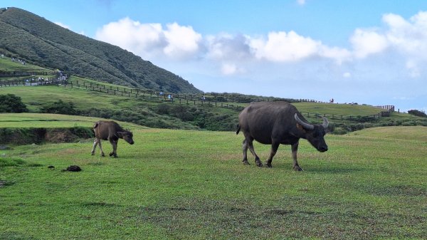 20251006 冷擎步道2917054