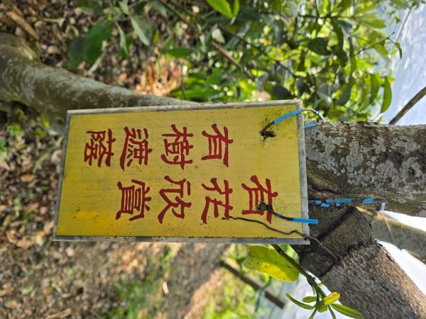 台中咬人狗坑～三汀山（小百岳～巧遇大冠鷲）2730247