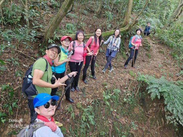 東勢大崙、東勢坑山、觀音湖山O走2986211