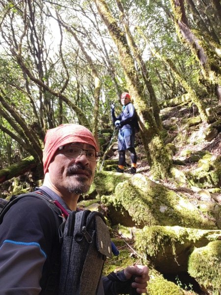 🥵20231107南一段會繞過🤷忘記的溪南山2340091