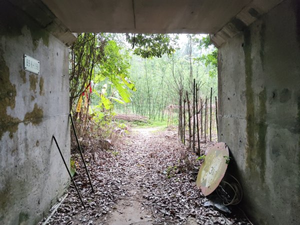 2024.04.14 倒別牛登中坑山飛鳳山O型2922811