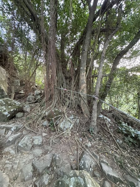 20251213屏東里龍山2961265