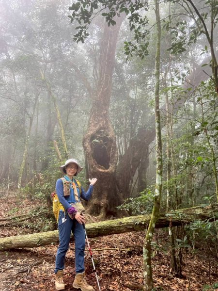 🌈12/14(日)南部最佳百岳練習場~小百岳-尾寮山✨FB：熊熊趴爬走🌈2961695