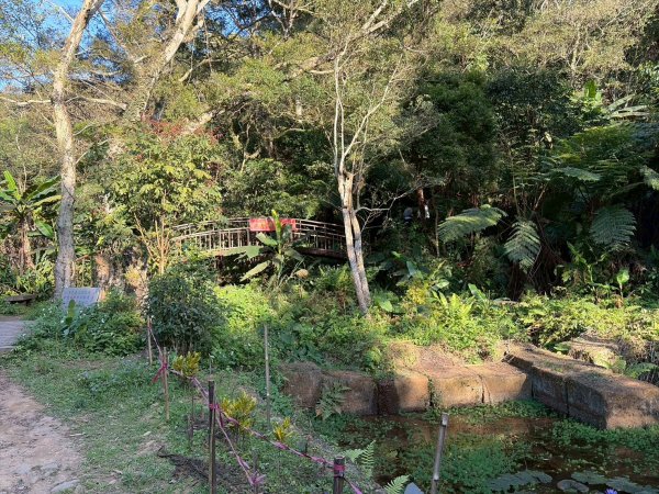 新北 林口 森林步道3015276