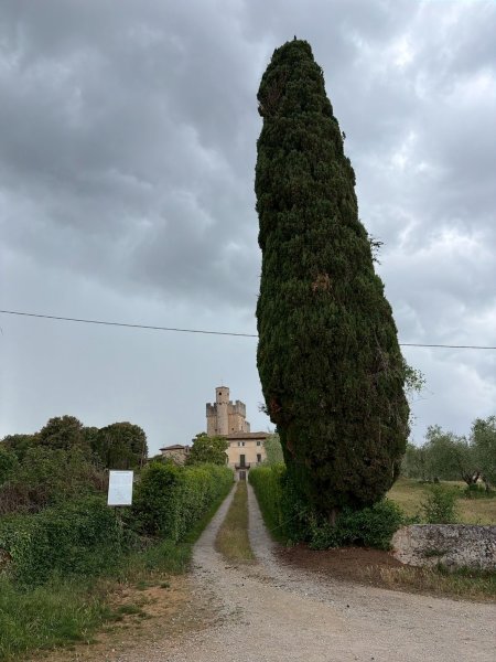 Via Francigena D3: monteriggioni-siena3072815