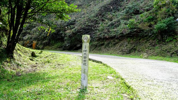 樹梅坪,黃金神社798302