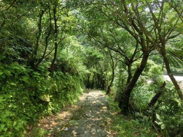 貂山古道．百二崁古道．樹梅坪古道134012