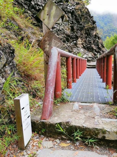 信義~悠然古道處處迷人八通關雲龍瀑布步道972848