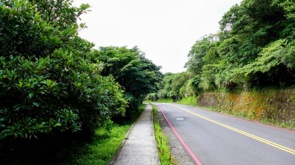 環七星山步道2837877