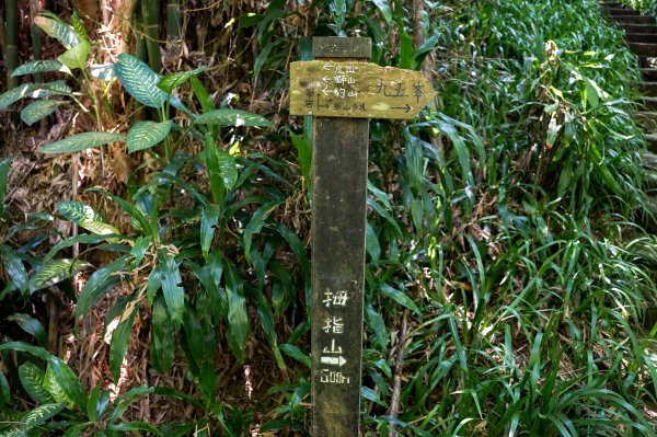 南港山｜小百岳3082105