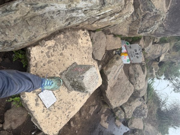 20250607 春谷養鱒場所上加里山 出大坪2805233