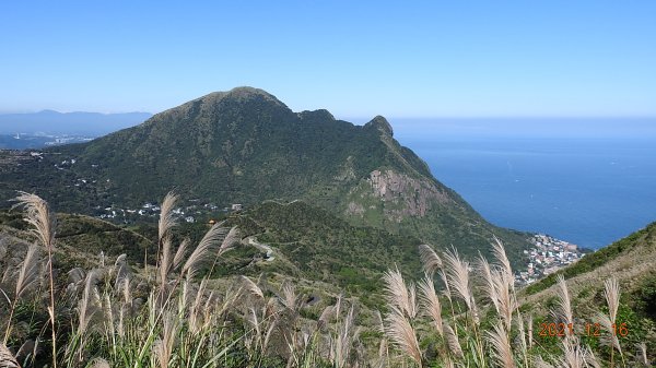 人品大爆發?天道酬勤?雲海好美好滿，芒花季再度大台北三寶之茶壺/半屏/燦光寮山1552242