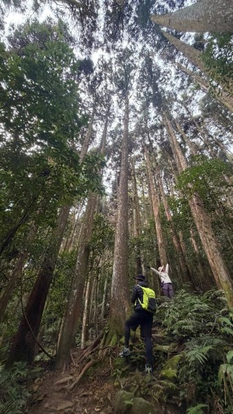 加里山 2025 12/282971687