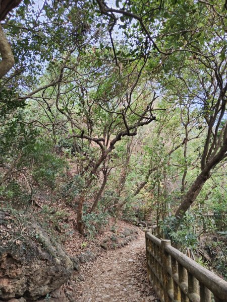 2023.12.24 高雄壽山2835317