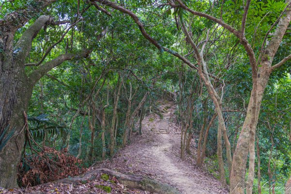[台中]南觀音山2688167