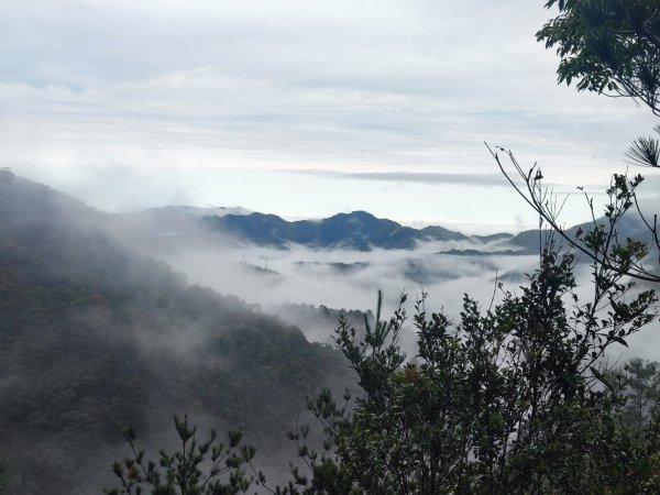 谷關老八阿冷山2699801