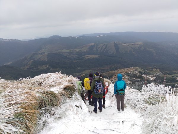 真假！七星山下雪1235074