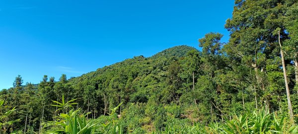 20220806_鵝公髻東北峰+鵝公髻山+涼山