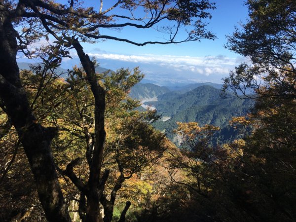 太平山台灣山毛櫸步道、魔幻森林、翠峰湖、望洋山2336542