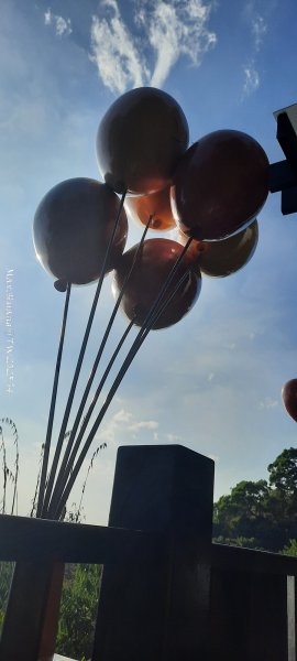 《台中》登山市集｜大坑9及9_1號步道上觀音亭202512202966544