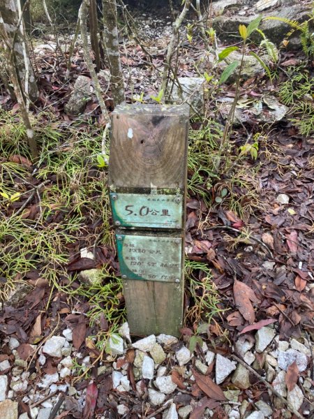 水社大山水晶蘭大爆發881623