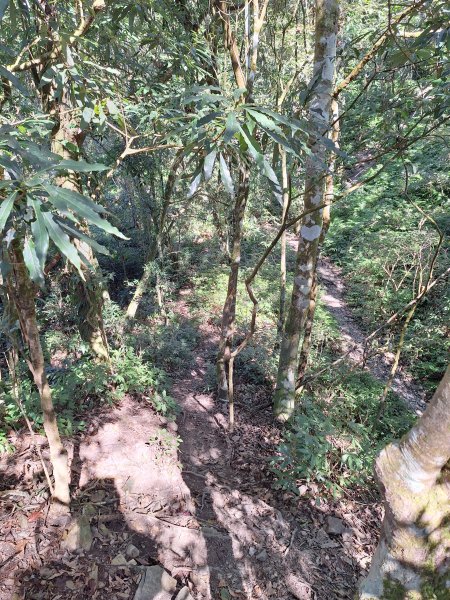 日湯真山202601042978578