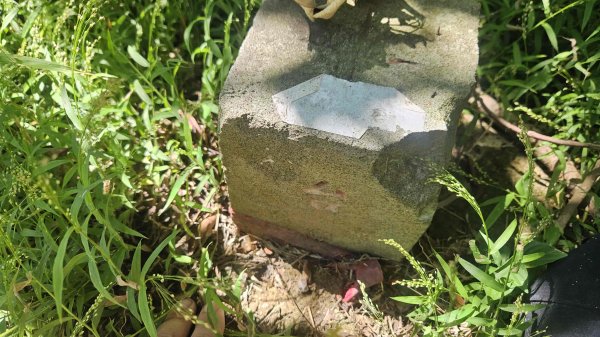 20251003高麗坑山-新高麗坑山-高麗坑山西北峰2903130