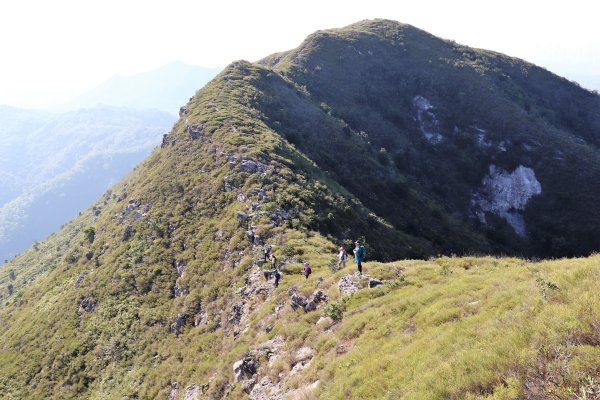 HK - 白燕岩1661228