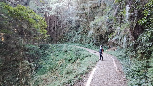 20241127特富野古道+梯子板山2659306