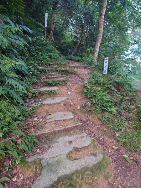 桃園石門山登山步道2208333