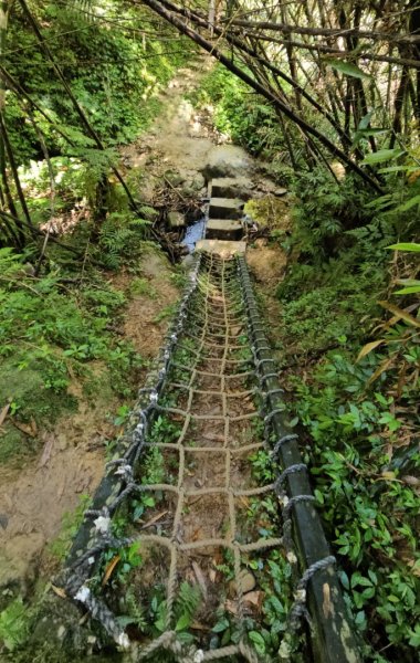 望古瀑布~嶺腳瀑布+深坑美食.阿柔洋.貓空2858429