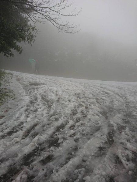 20210108冰封大屯山1232020