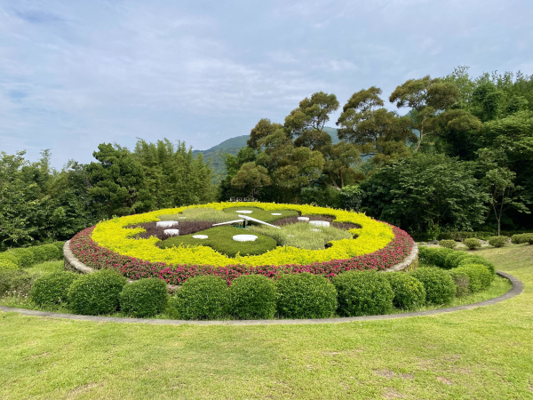 《陽明山的山林片刻｜沿著青春嶺路走向山野的綠意》