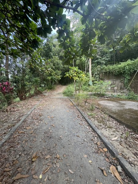 20251101烏山縱走北段 雲山寺至刣牛湖山(途經風空子山.孟璋山.烏山.刣牛湖山北峰)2928742