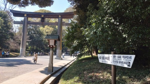 20250316日本旅遊自由行旅拍2783053