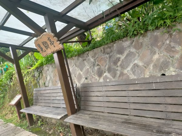 臺北大縱走第七段：世界山莊至飛龍步道2810222