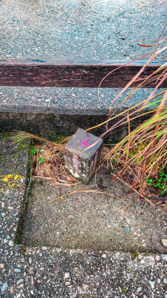 谷關七雄-屋東縱走2923563