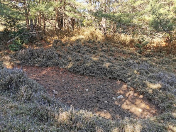 南三段縱走-百里長征在雲端-丹大東郡橫斷908881