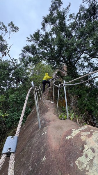 迎新（2026元旦2975582