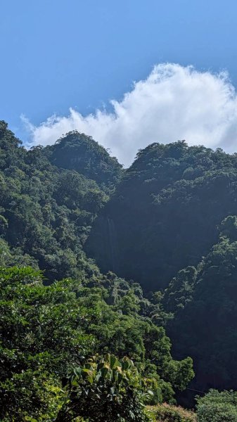 三角崙山、聖母登山（抹茶山）步道3067675