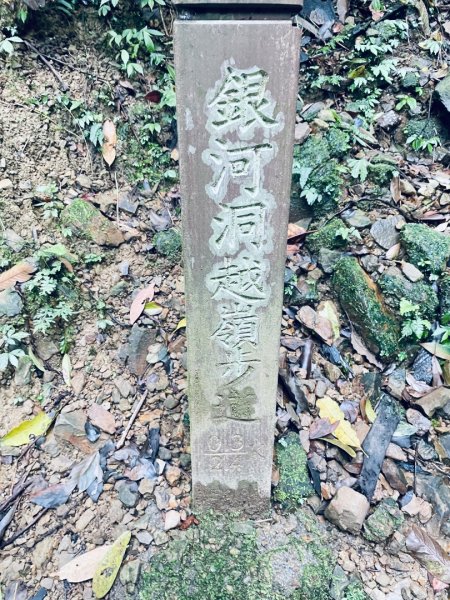 20250413 銀河洞越嶺步道-六分山-待老坑山-員潭子坑山2761198