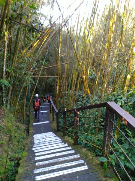 2022-04-09 迷糊步道_福山古道O型1668156