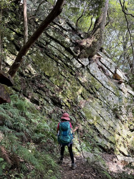 波津加山 202509142893389