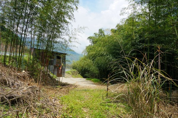 魯壁山、東穗山連走602846