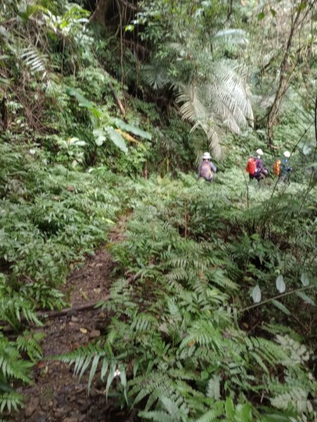 雷公埤山-鱷魚島觀景-小格頭獅頭山2001524