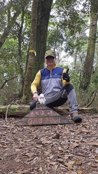 【中級山經典：水社大山、水社主峰】🥾4小時53分的征途，汗水與意志的考驗。2982575