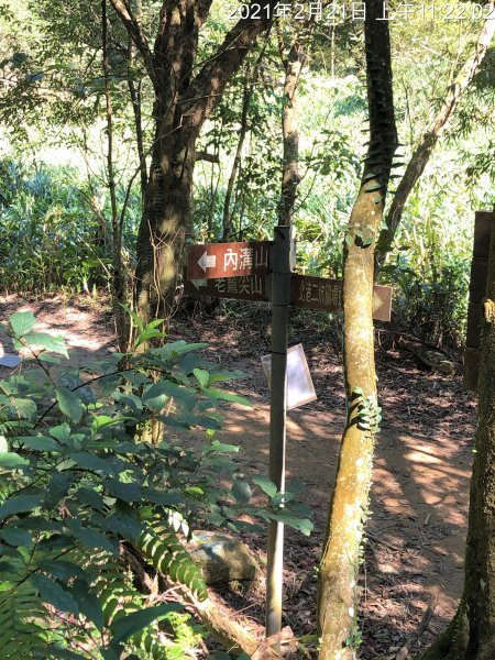 老鷹尖山 老鷹尖南峰 內溝山(大尖坪山)1292538